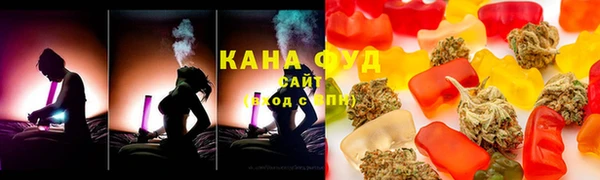 молекула духа Сясьстрой