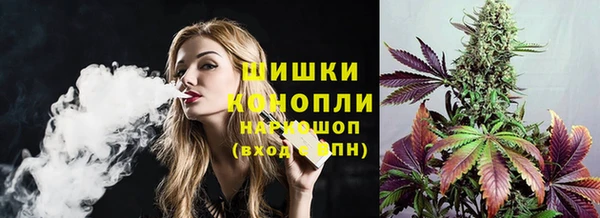 стафф Бородино
